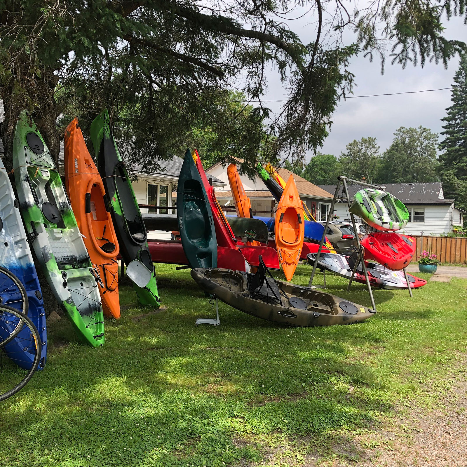 Several kayaks leaning upright in front of a store in Bancroft on a grass lawn