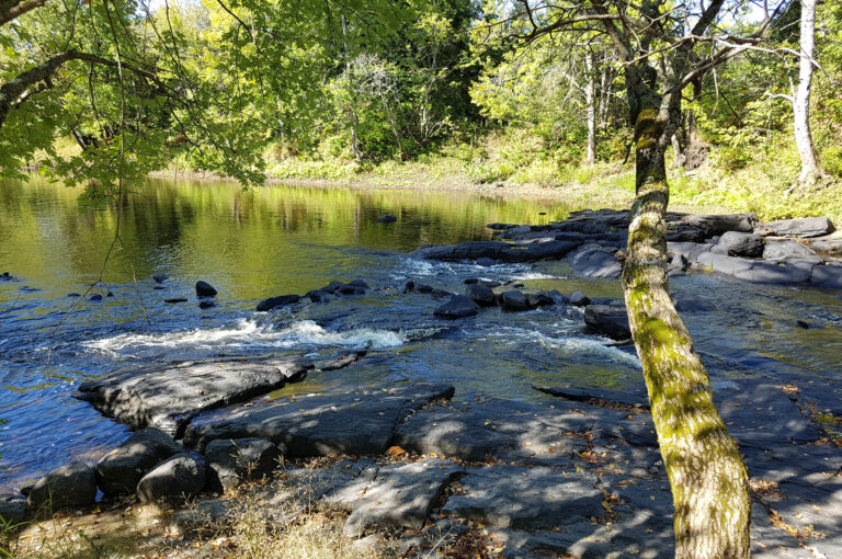 A flat rock shore next to a river with trees in the background