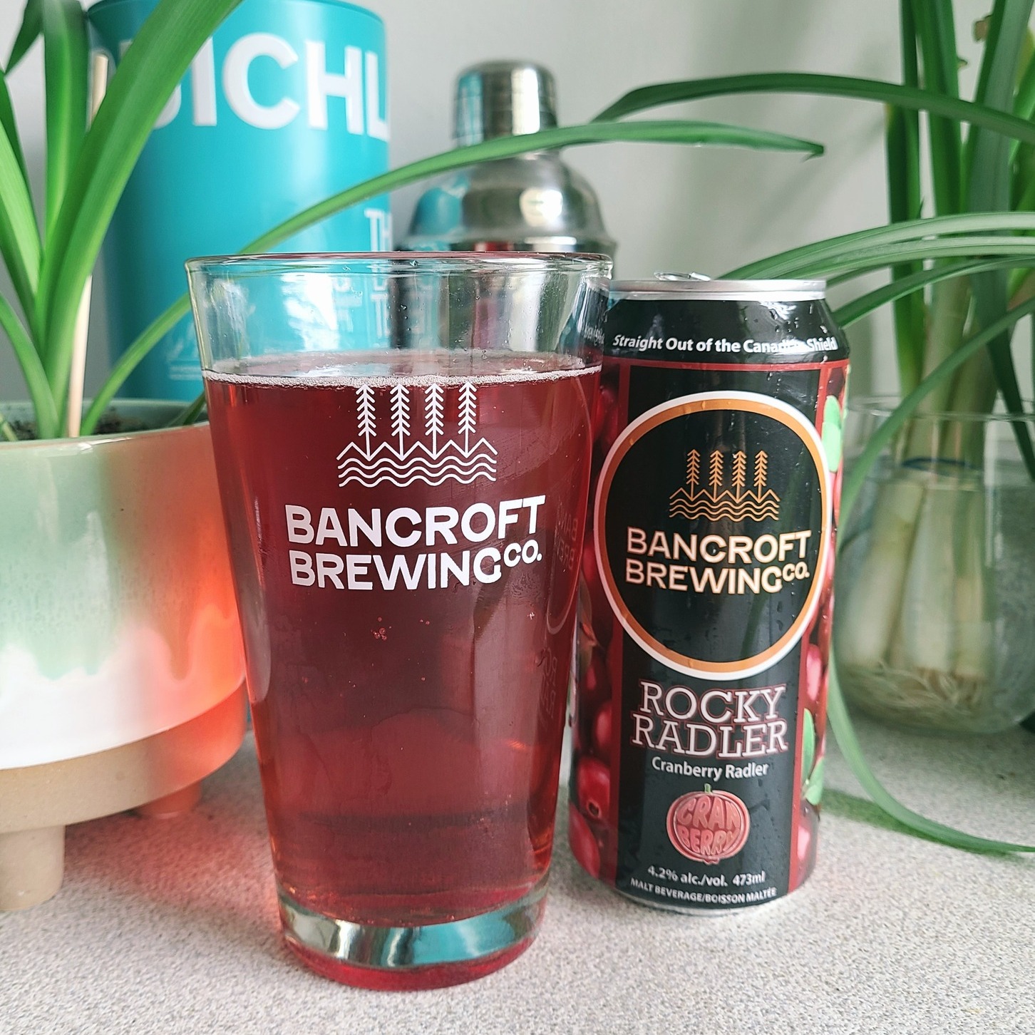 A can of beer next to a tall glass full of beer with plants in the background