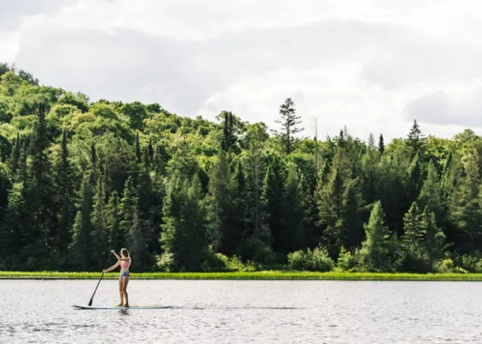 Person standing on a stand up paddle board and paddling on a lake