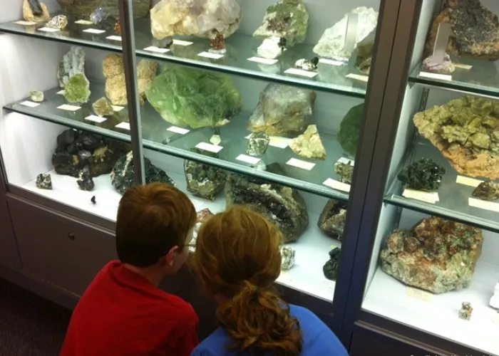 Two kids looking a gems and minerals on display behind a glass cabinet