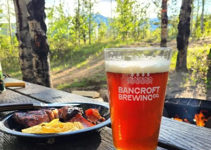 Bancroft Brewing Pint of Beer in the Woods