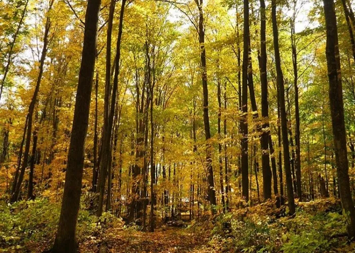 Eagles Nest Park Trail in Bancroft Ontario