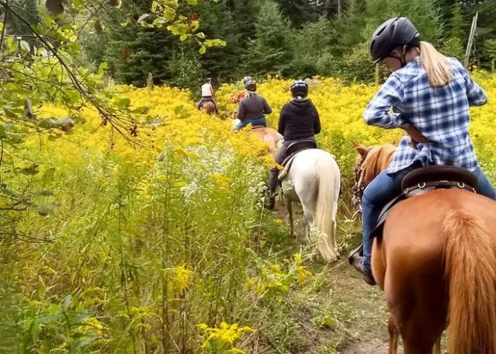 Trail Ride on Horseback through a meadow in Bancroft, Ontario