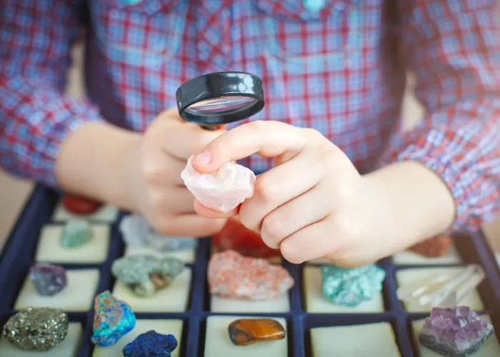 Person looking at gems and minerals