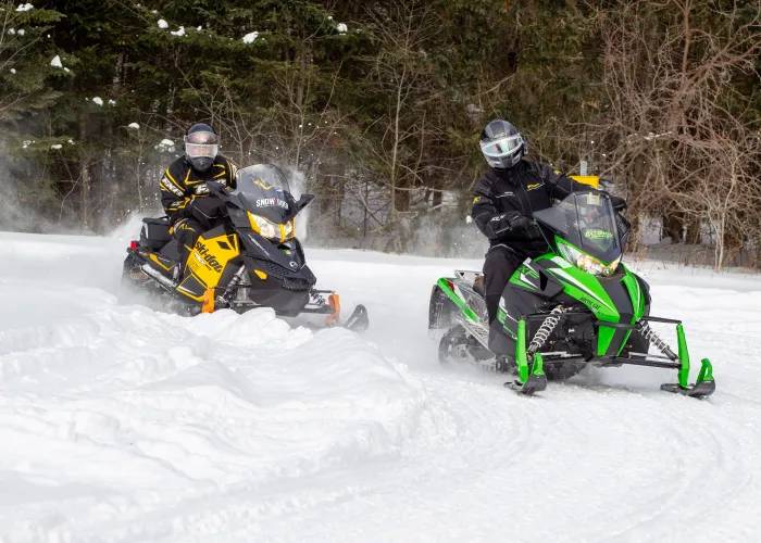 People Snowmobiling in Hastings County