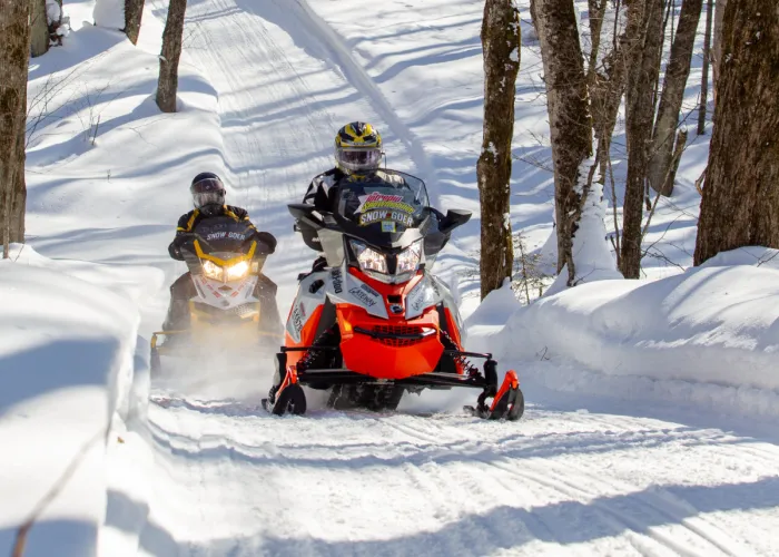 People Snowmobiling in Hastings County