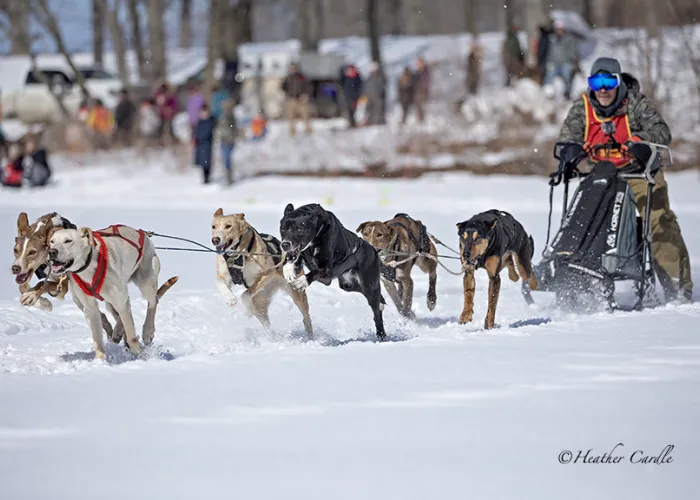 Stoco Lake Sled Dog Derby