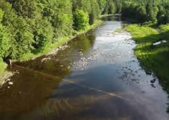 Kingsford Conservation