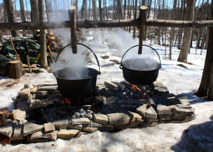 photo of sap boiling in big pots on open fire at O'Hara Mill