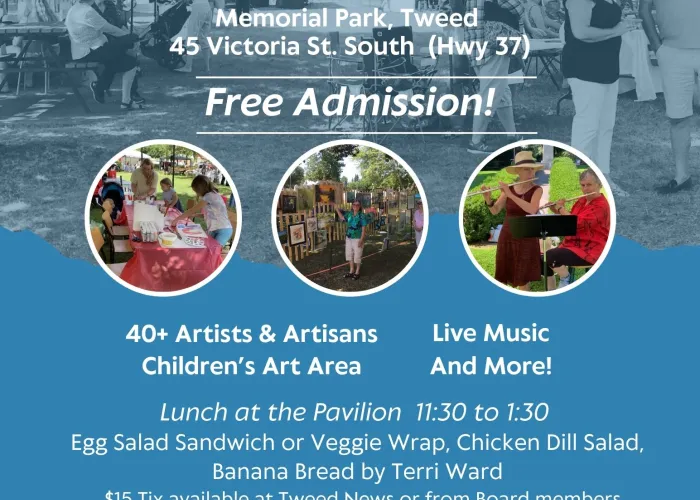 Art in the Park event details poster
