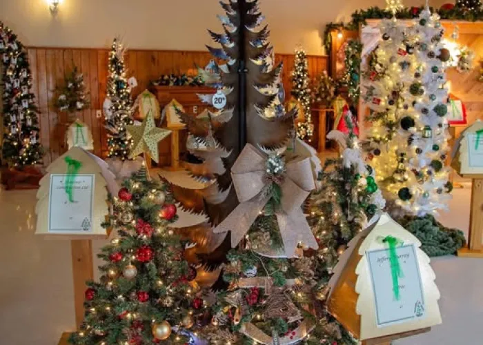 image of trees decorated for festival of trees event