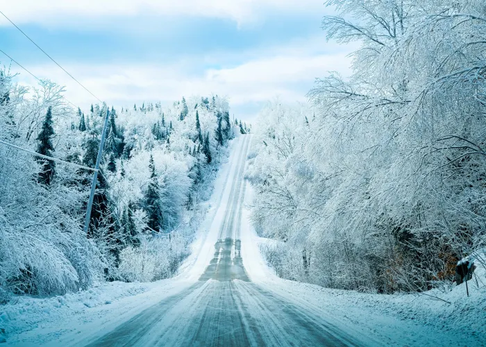 winter, snowy highway with ice covered trees