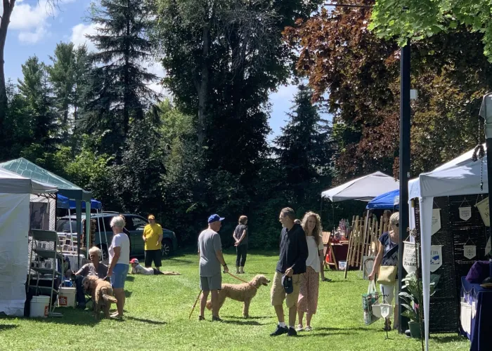 tents and people in a public park displaying art