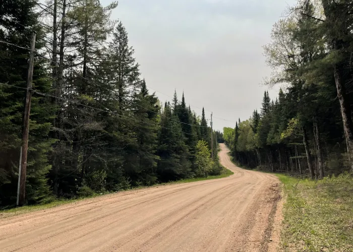gravel road springtime