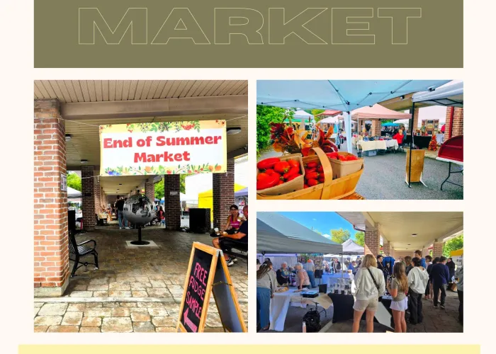 three photos of the village square with event details in coloured text