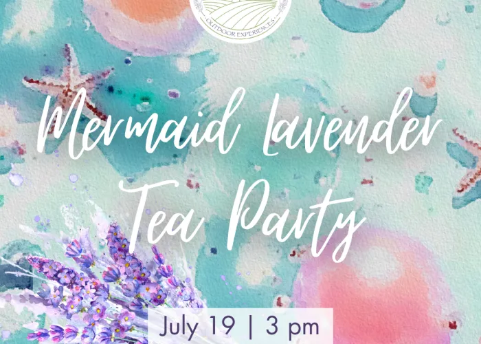 Colourful watercolour pastel coloured background, star fish, lavender bouquet, event details
