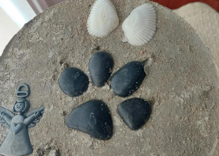 Photo of Stepping Stone, stones arranged in paw print shape, name written in the stone