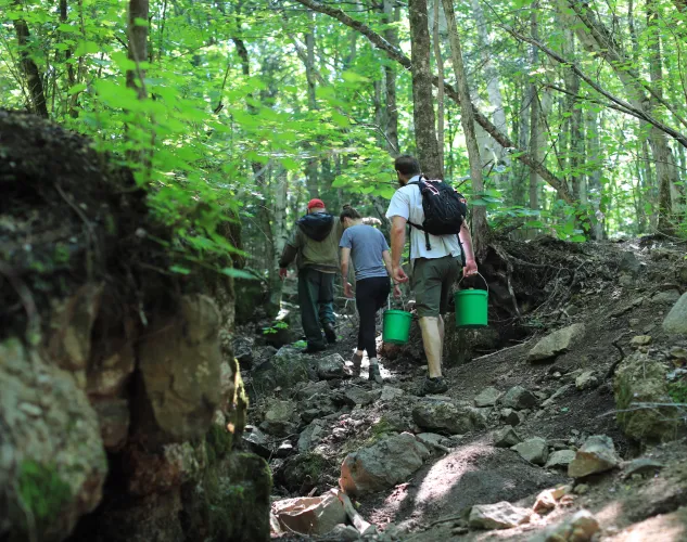 People walking through the woods with green buckets on their way to do some rockhounding.
